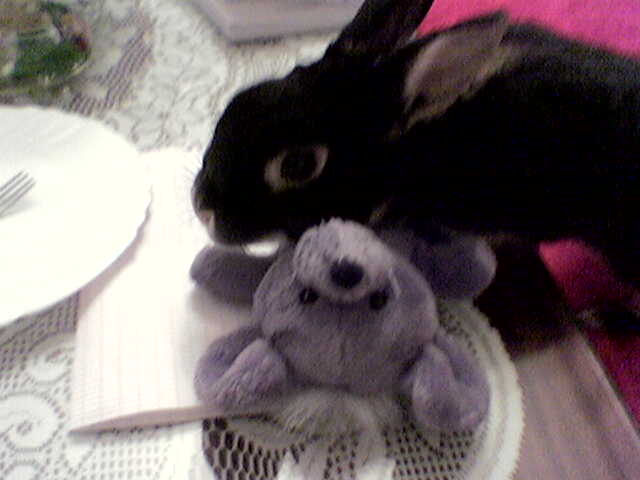 gladen zaek.........