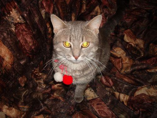 ������������!?