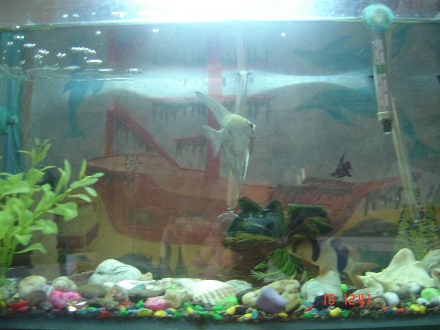 ��������