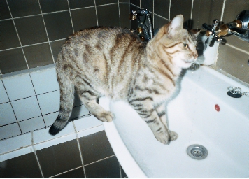 ����� ���....��� �� ������� ���� ����