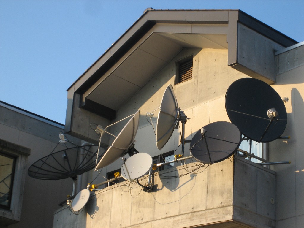 Тази лудница е наполовина мое дело Тази лудница е наполовина мое дело