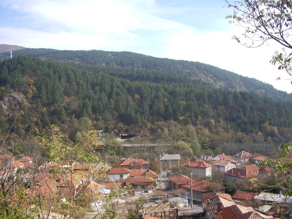 ������ �� ������