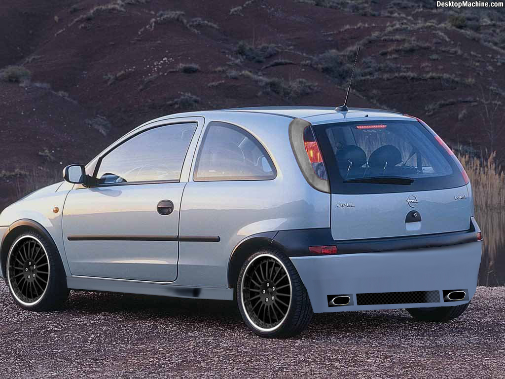 ���� ����� ������ (�������)