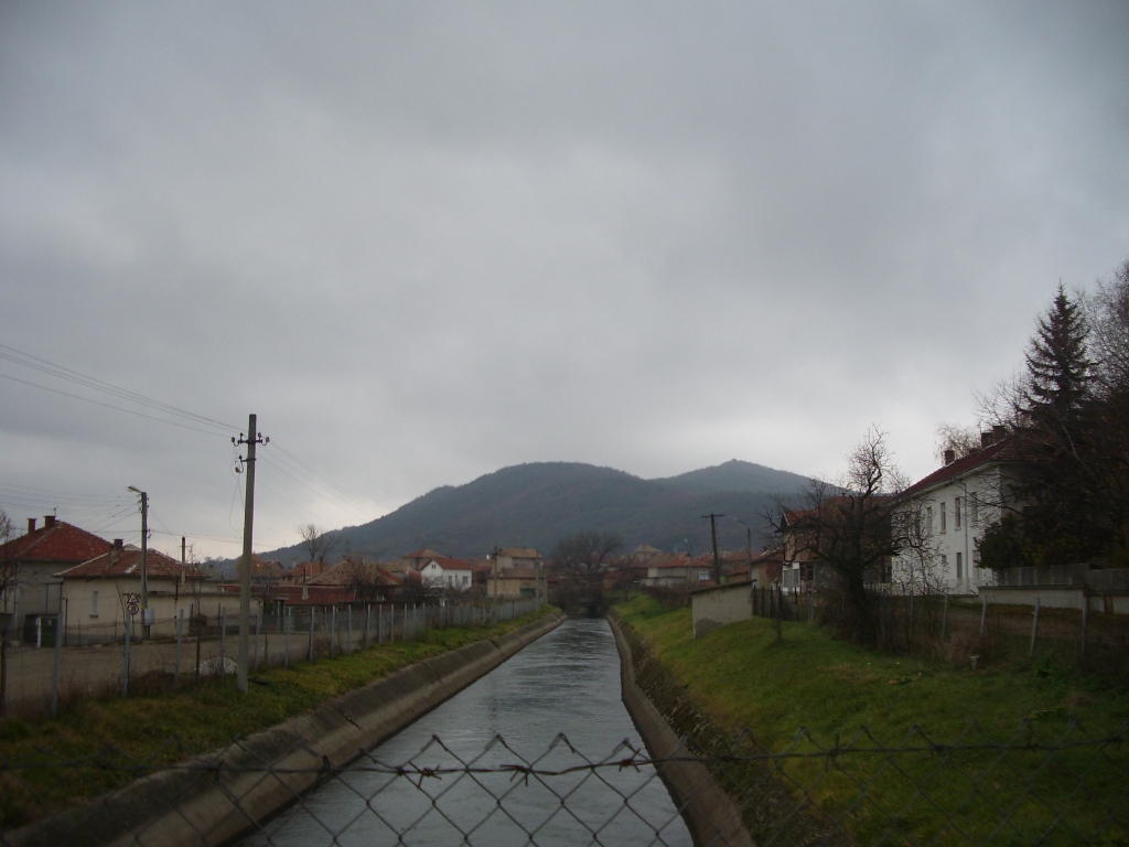 ���� ���������