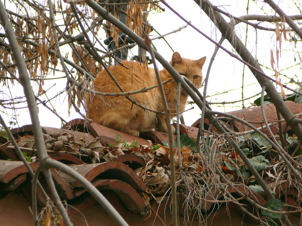 ���������� ����!