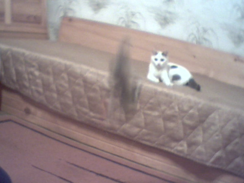 ������� ���� 2-�� �����