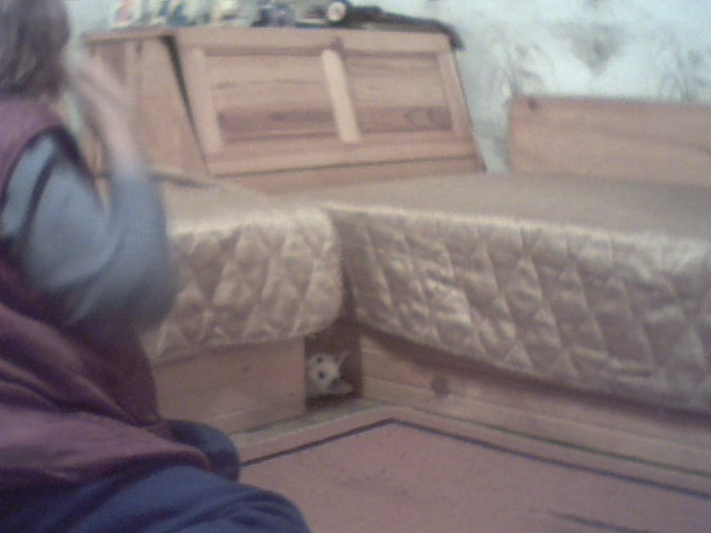 ������� ���� 3