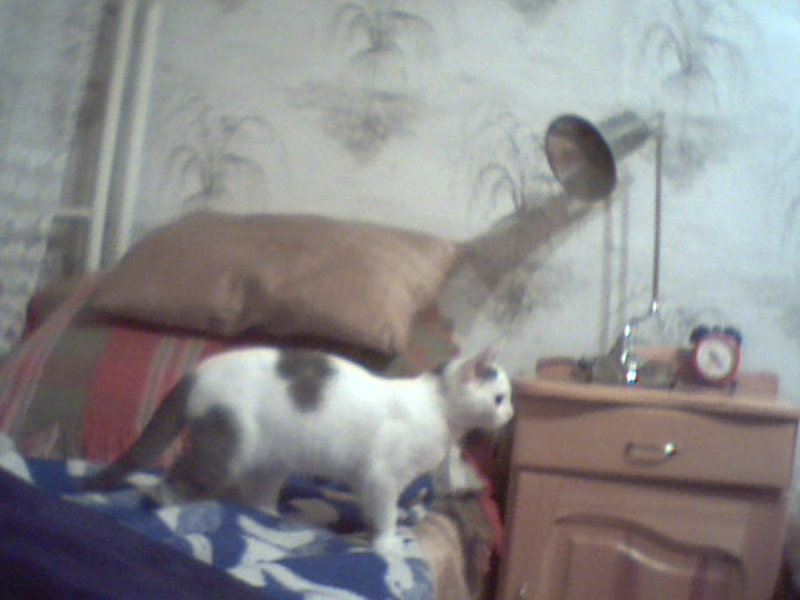 ������� ���� 4