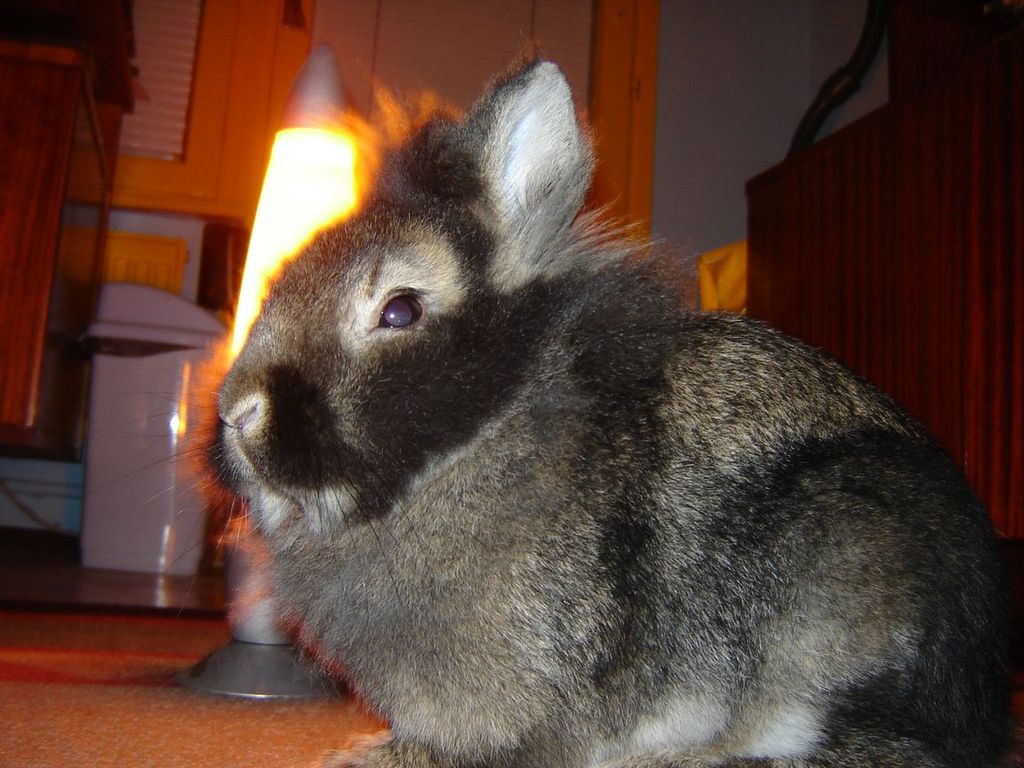 �������