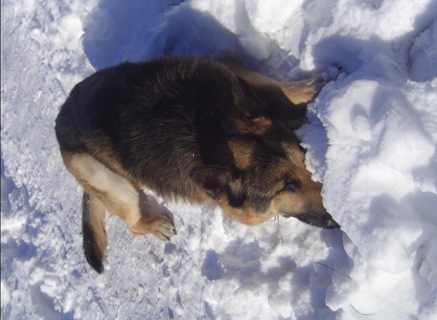 ��� �� � �����