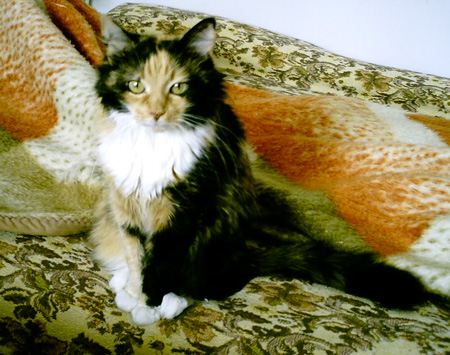 ����� �� ���� :))