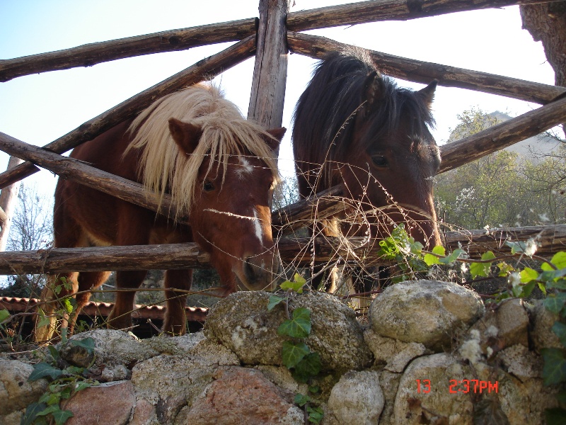 ������� ...