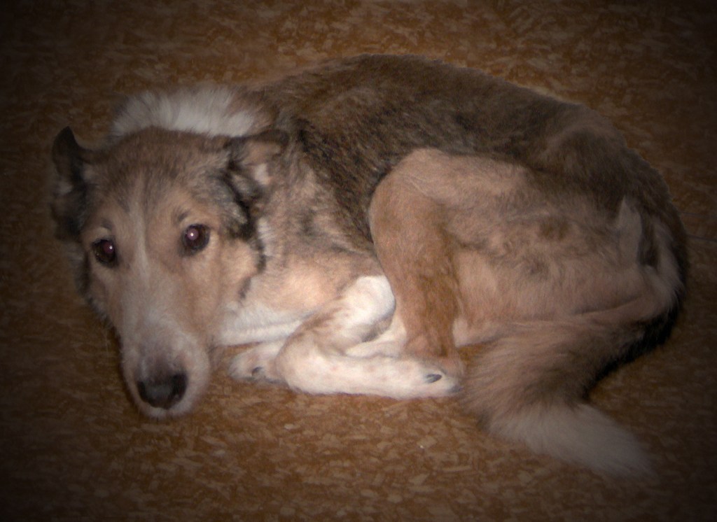 �������