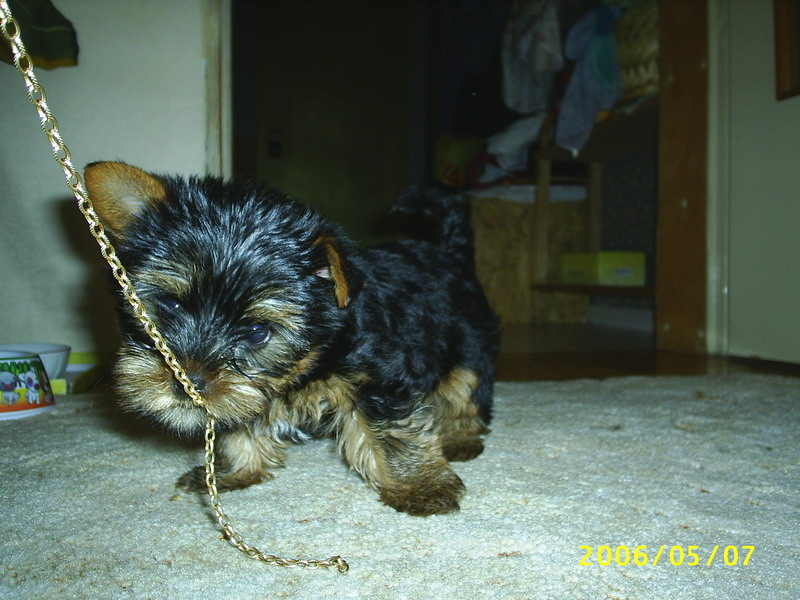 ��� ����.