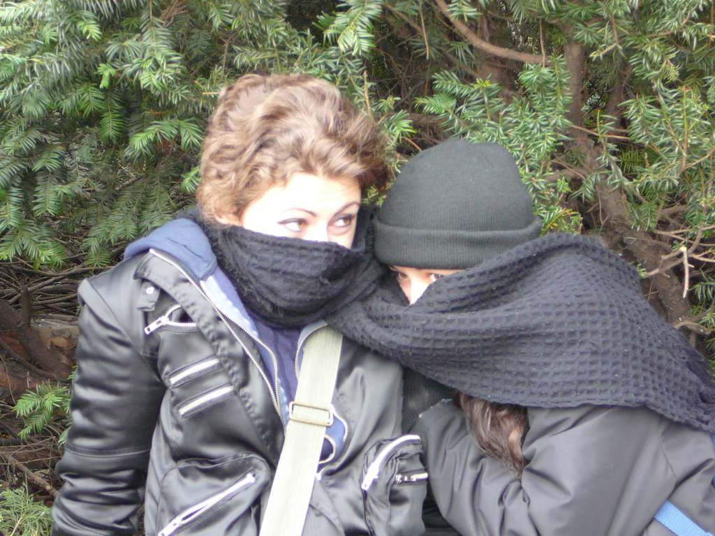 �� �����