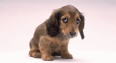 ������� :)