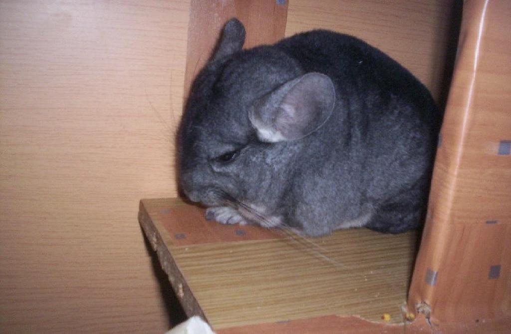 ���������� ������� :)