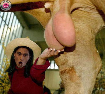 ������� :)