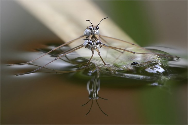 �������, � �� �� ������ :)