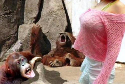 ������� 0_0