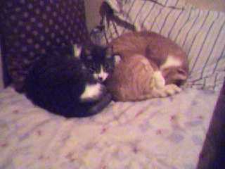 ���� � ����