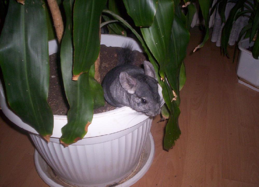 ���� ��� "��������"