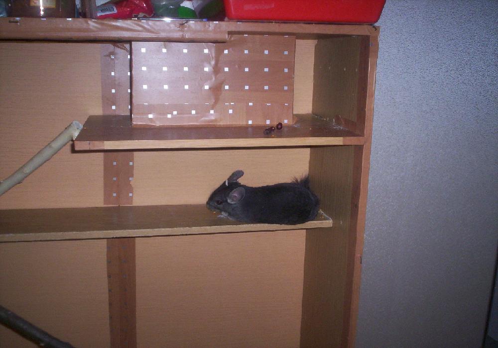 ��������� � �������