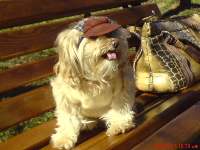 ������� �� �� �������� � ������