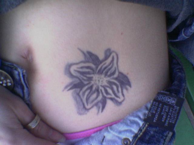 ���� �����