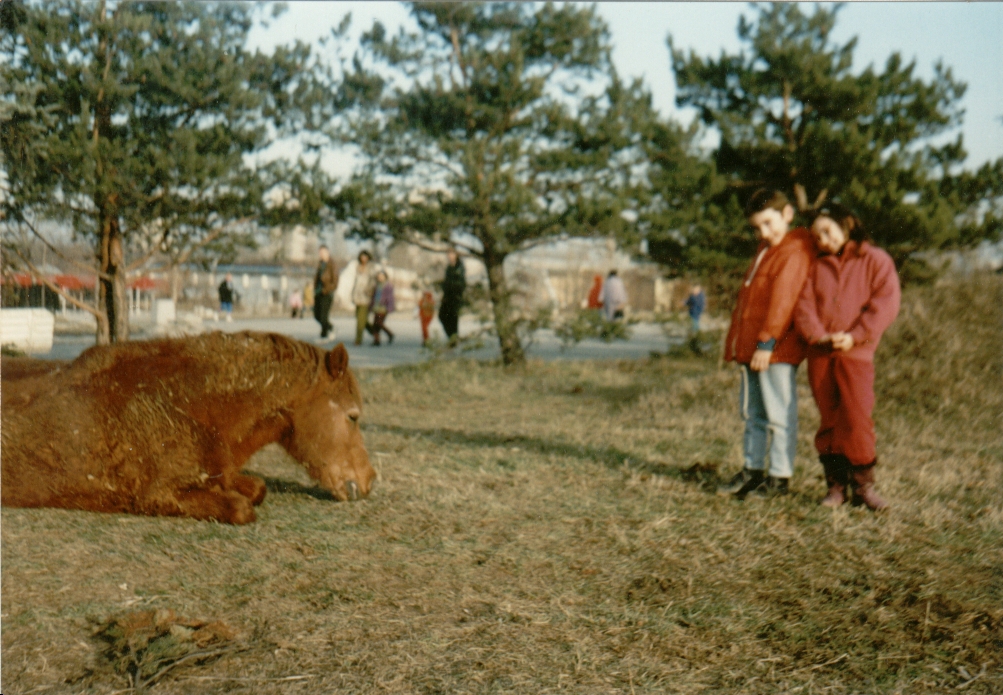 ������ �� � ��