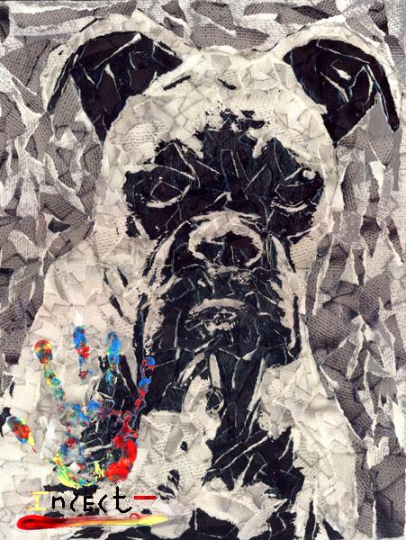 ������ �� SG3