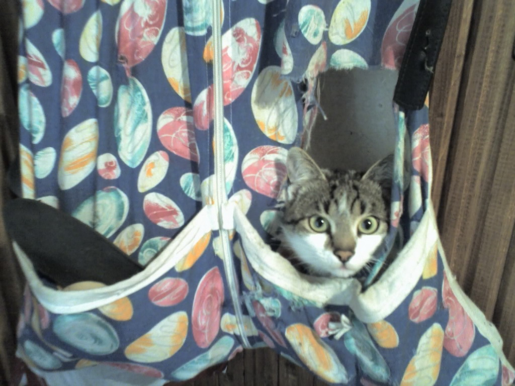 �������