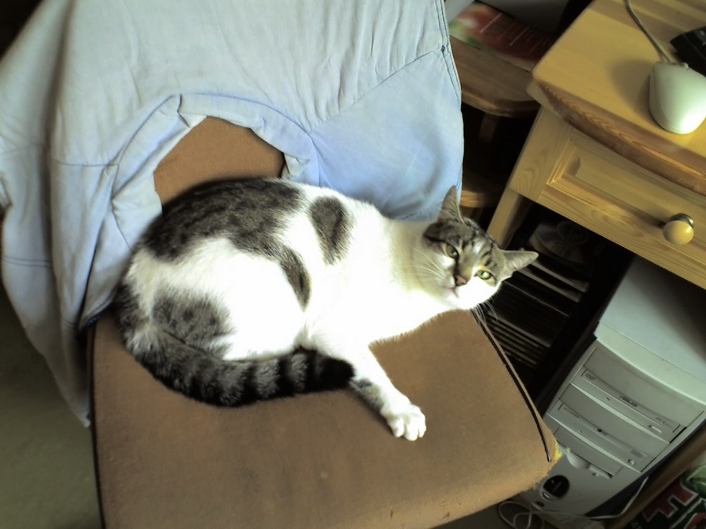 ��������� ����