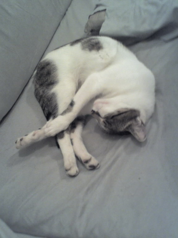 ����� �� �����, ��� � ������