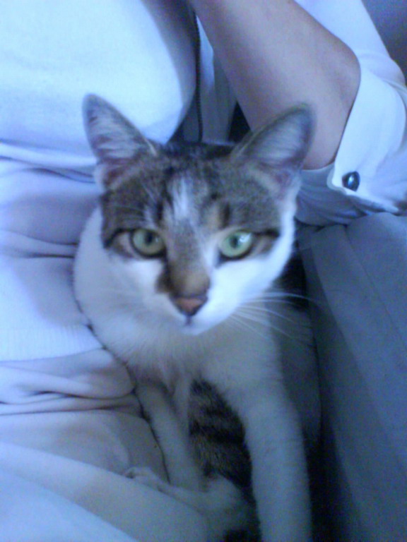 �������� ����� �� ����