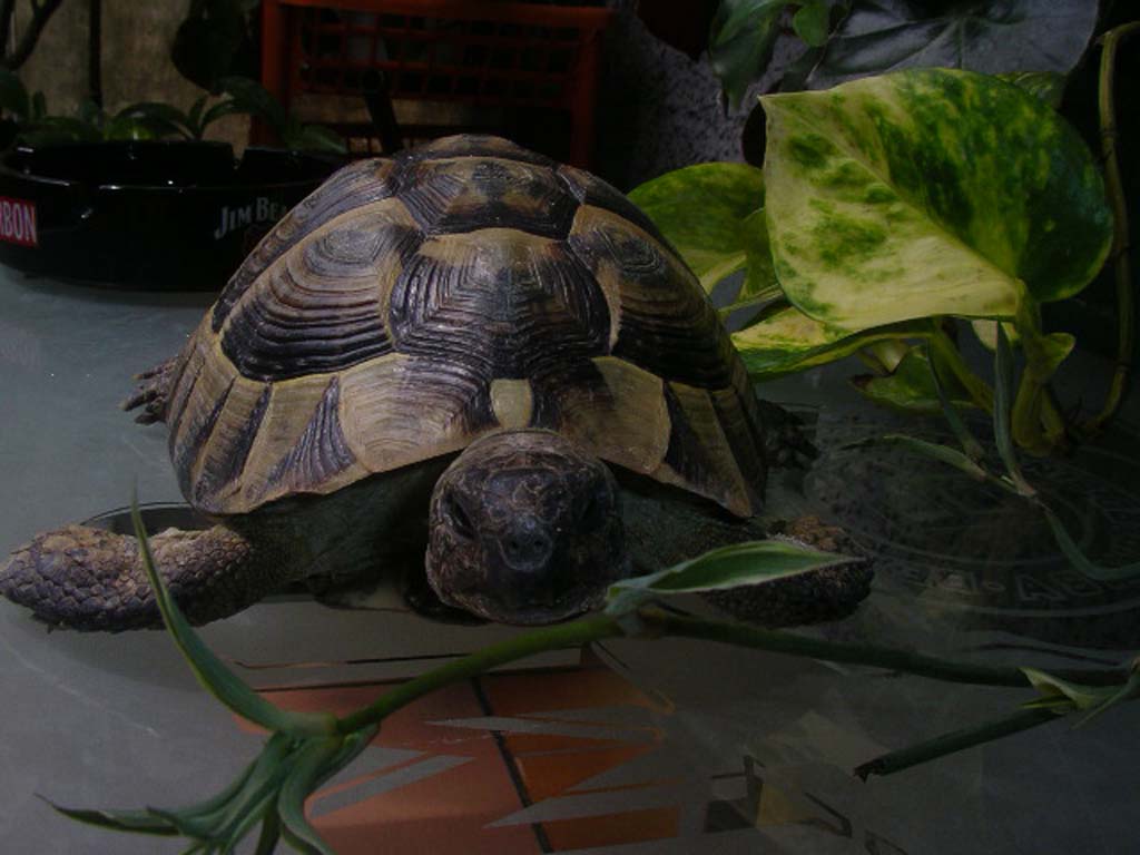 ������������ �� ����� ;(