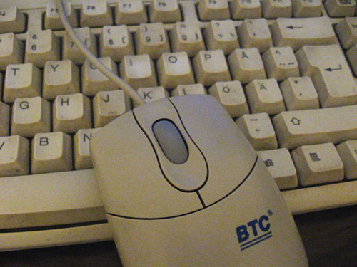 ���� ������ ������ ��� ������