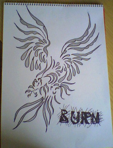 Eagle_burn