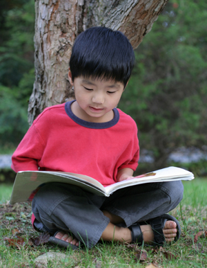 �� ���� �����