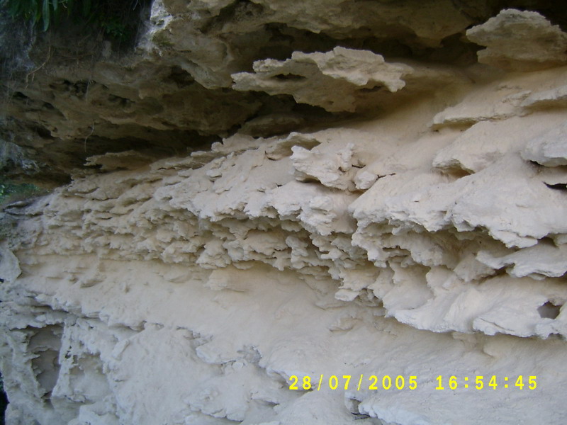 �������� - ������ ��������