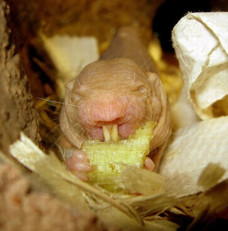 ����'� �����