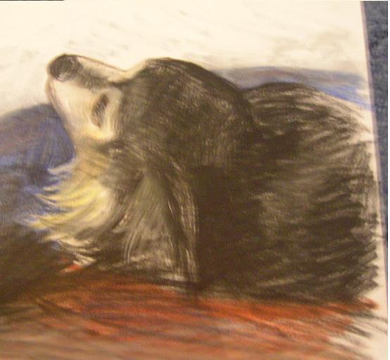 ������ �� �� ����