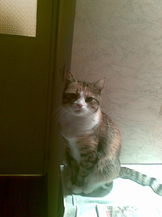 ����� �����...������