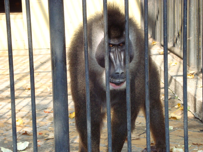 �������...