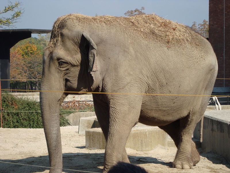 �������1...