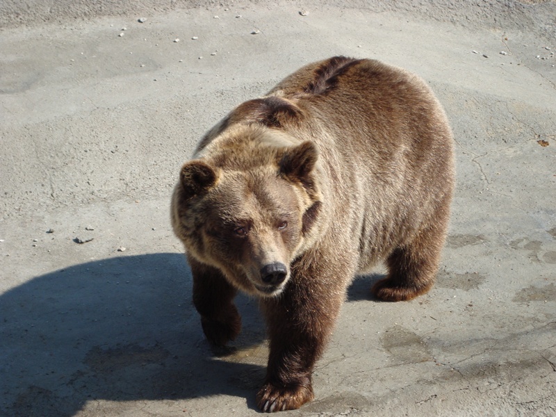 �������2...