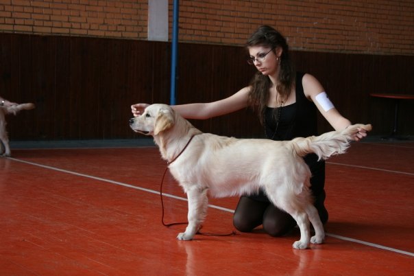 Lorindely Artemida Kenigy