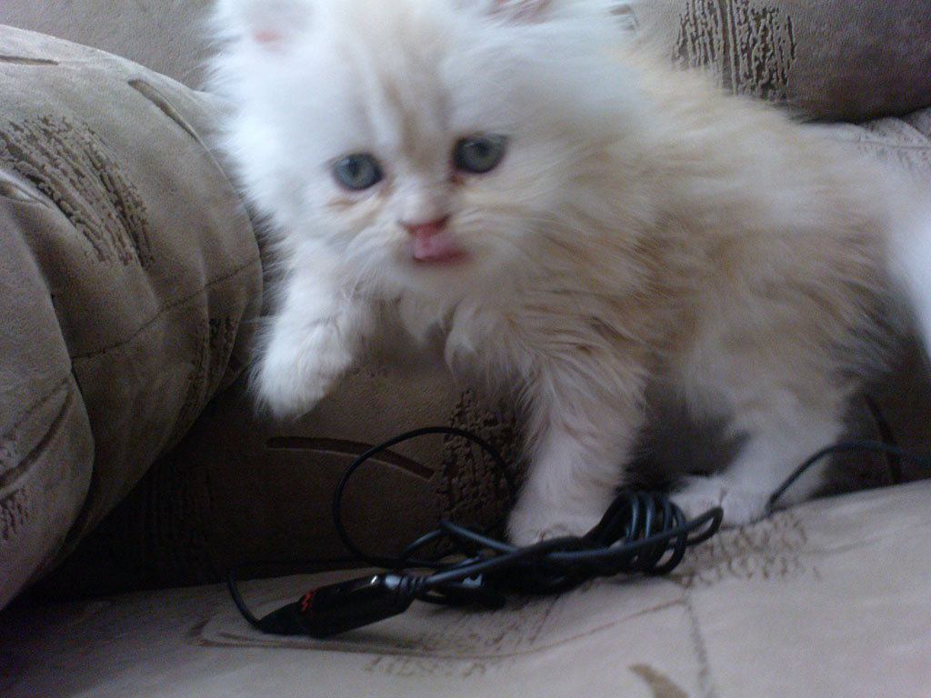 ������ 2