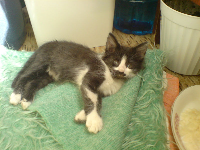 �������