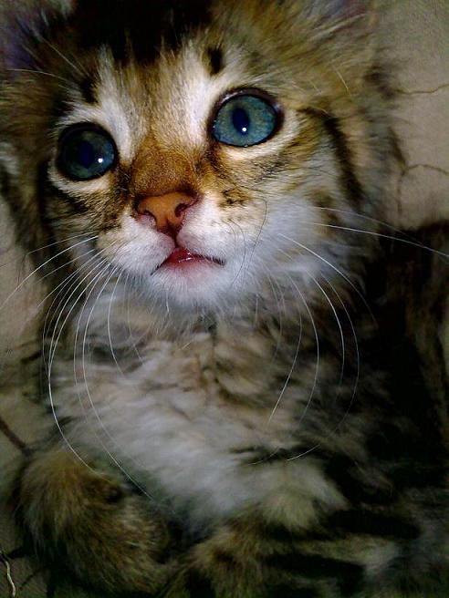 ����� ������...